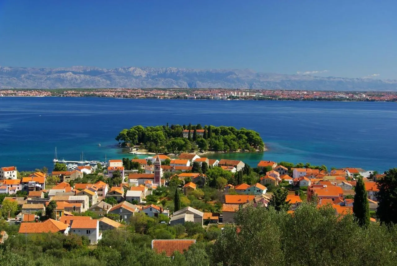 Apartment In Poljana With Sea View, Terrace, Air Conditioning, Wifi 3617-1