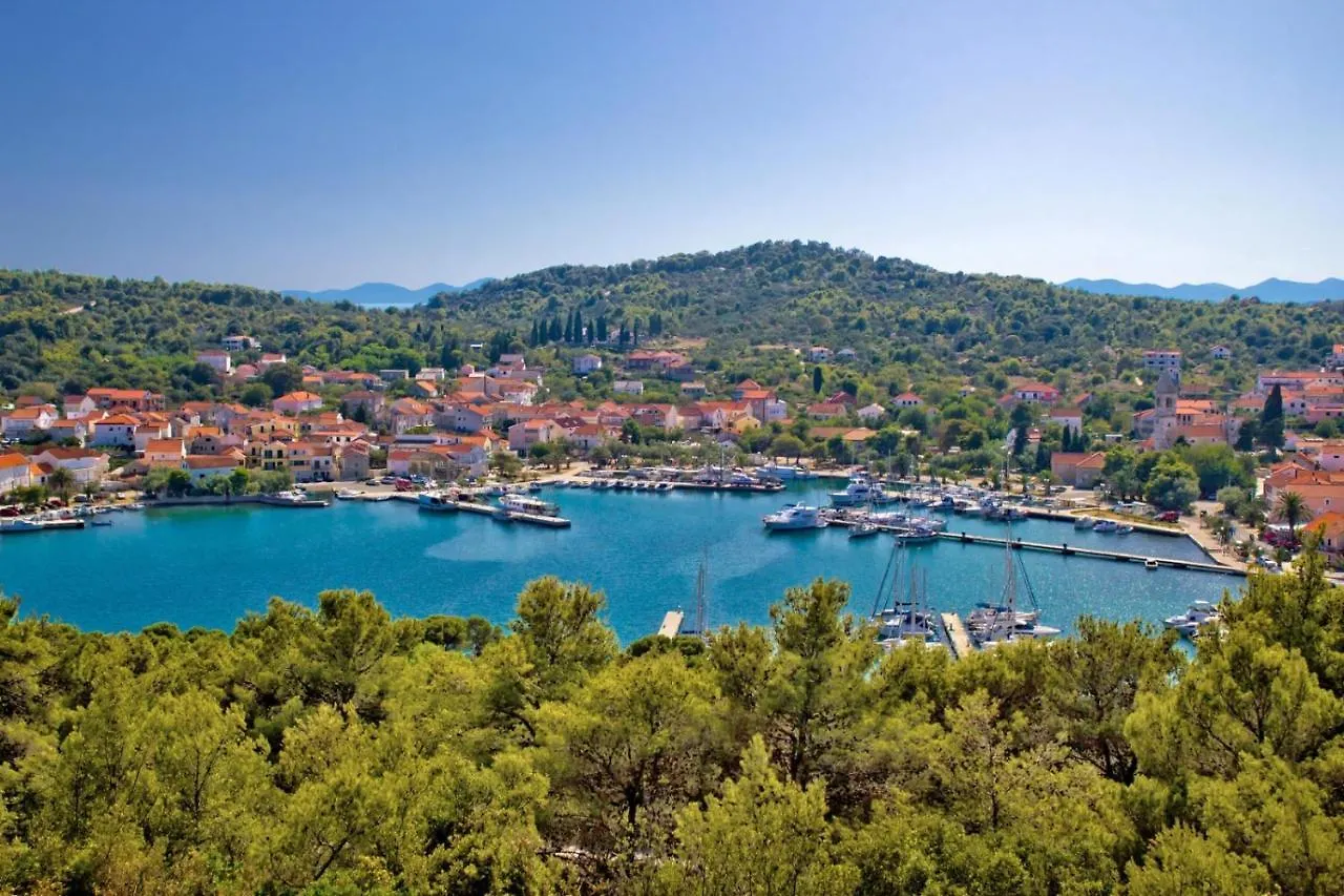 Apartment In Poljana With Sea View, Terrace, Air Conditioning, Wifi 3617-1 Croatia