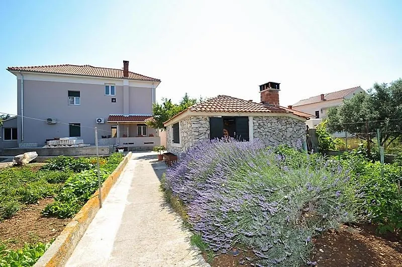 Apartment In Poljana With Sea View, Terrace, Air Conditioning, Wifi 3617-1 Croatia