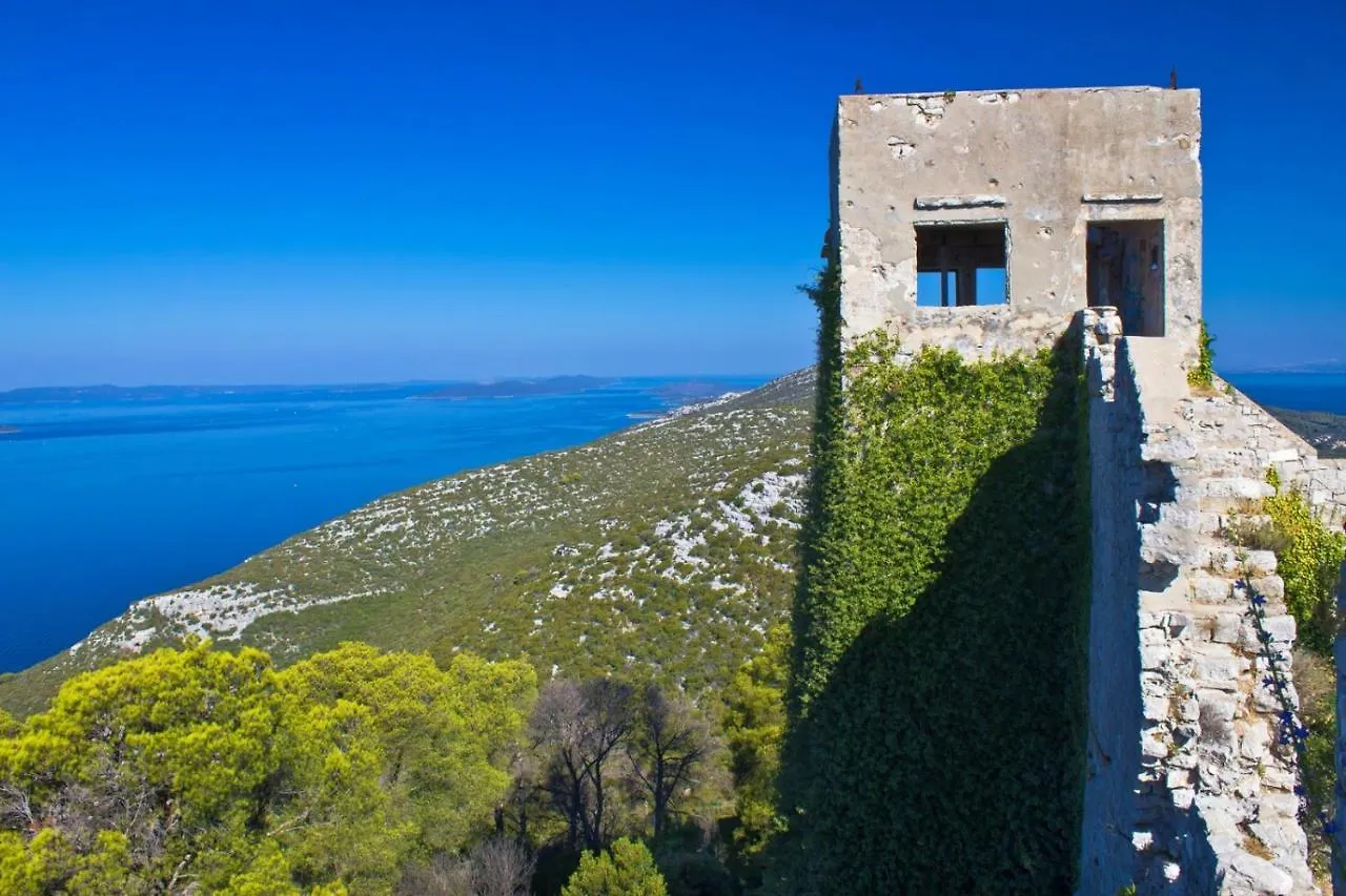 Apartment In Poljana With Sea View, Terrace, Air Conditioning, Wifi 3617-1 Poljana (Ugljan)